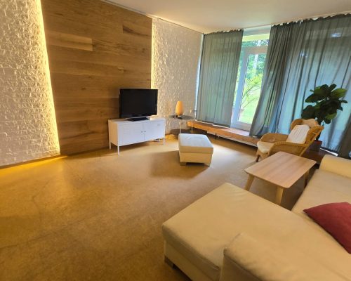 Wohnzimmer (Bild 2)